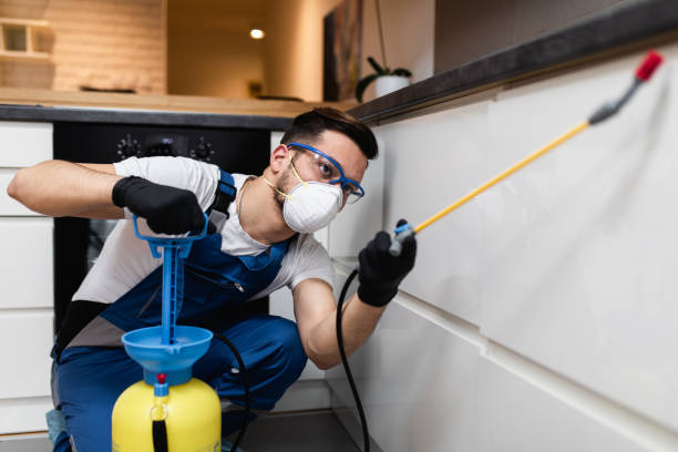 Wasp Removal Services in Madison, GA