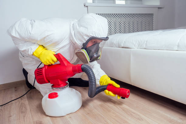 Trusted Madison, GA Pest Control Experts