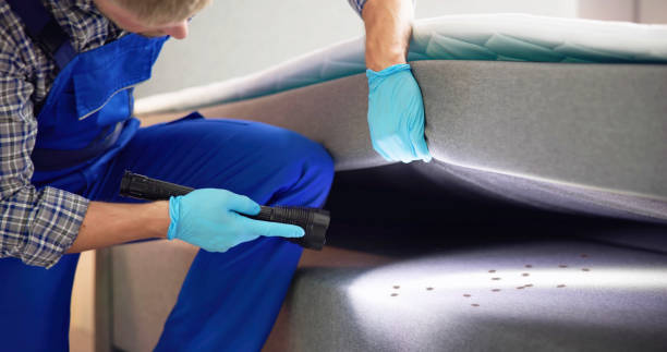 Best Emergency Pest Control  in Madison, GA