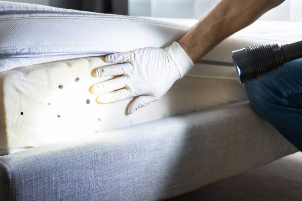 Best Best Pest Control Companies  in Madison, GA