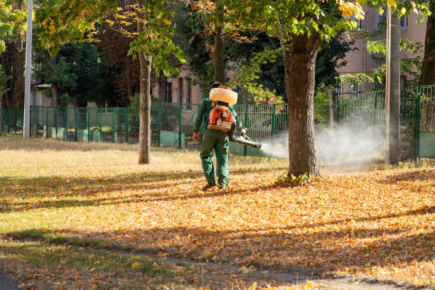 Best Bed Bug Extermination  in Madison, GA