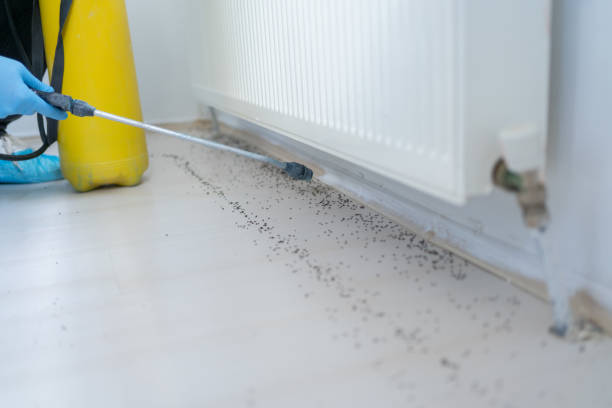 Trusted Madison, GA Pest Control Experts