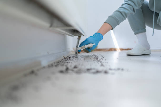 Best Residential Pest Control  in Madison, GA